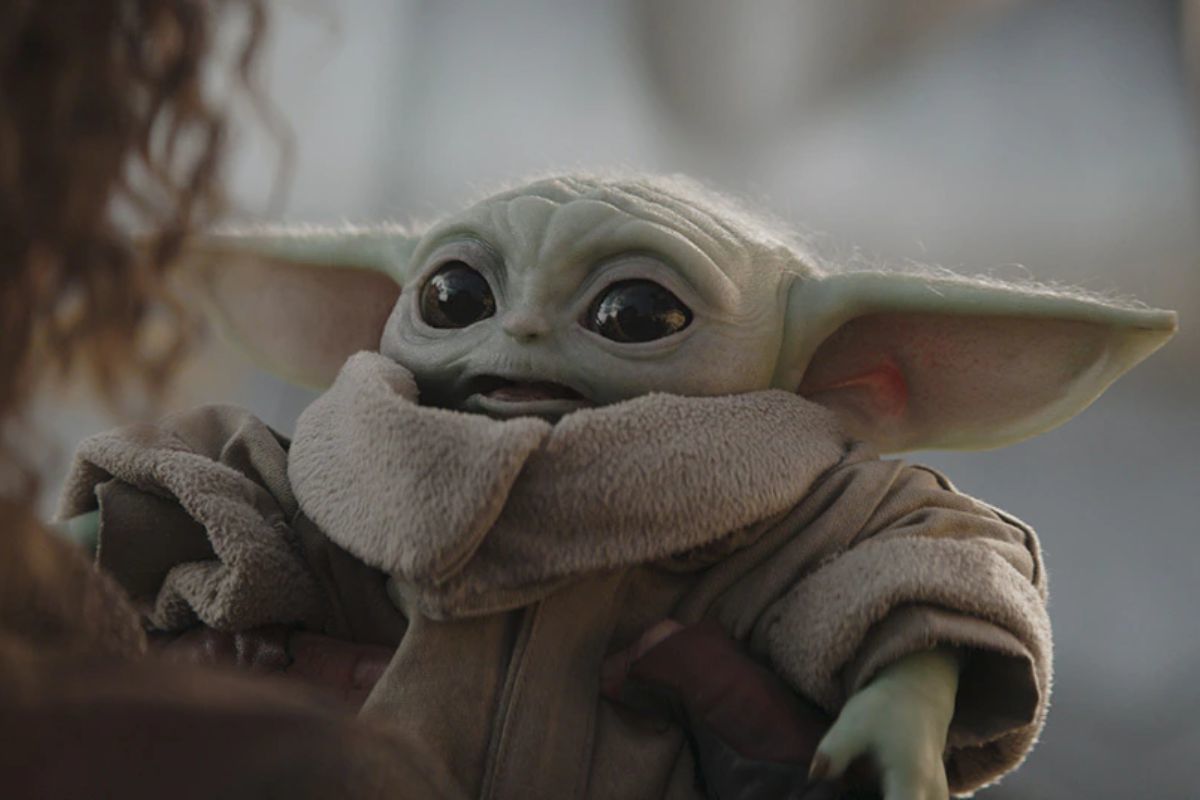When Was Yoda Born 2